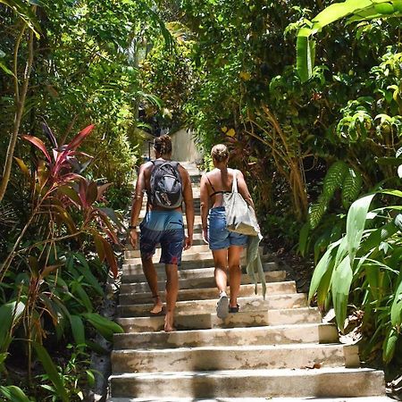 Funky Monkey Lodge Playa Santa Teresa  Экстерьер фото