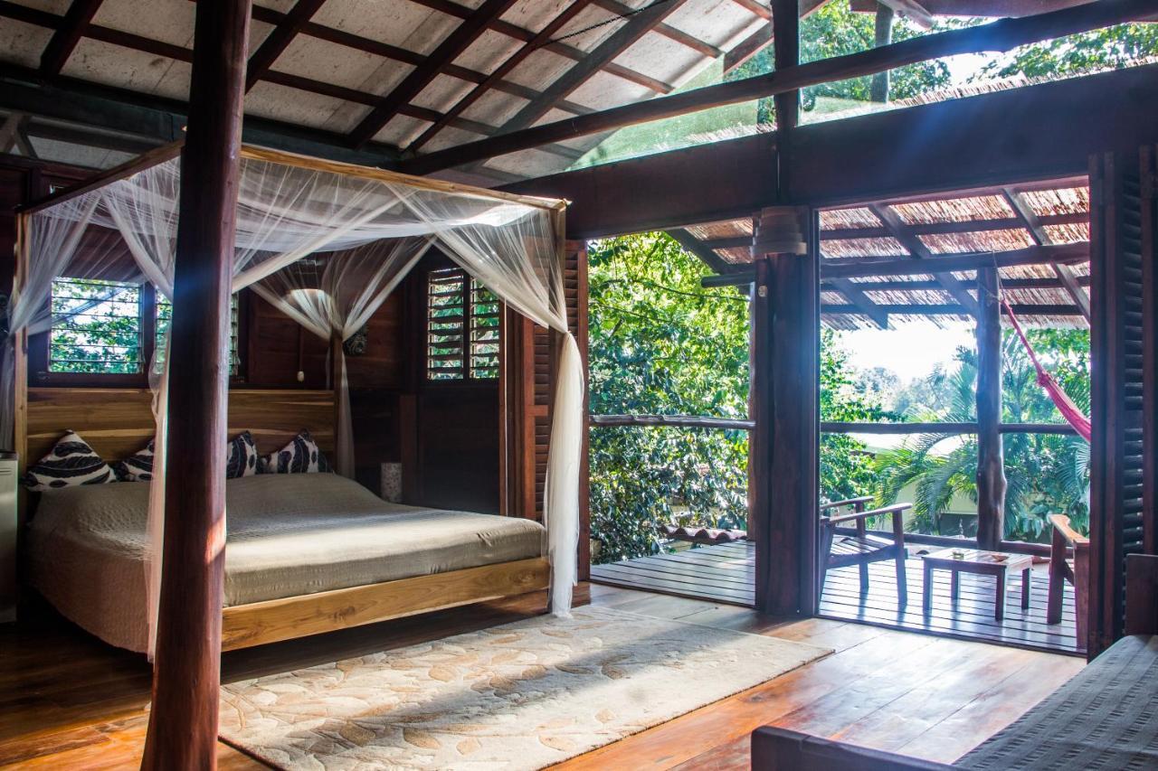 Funky Monkey Lodge Playa Santa Teresa  Экстерьер фото