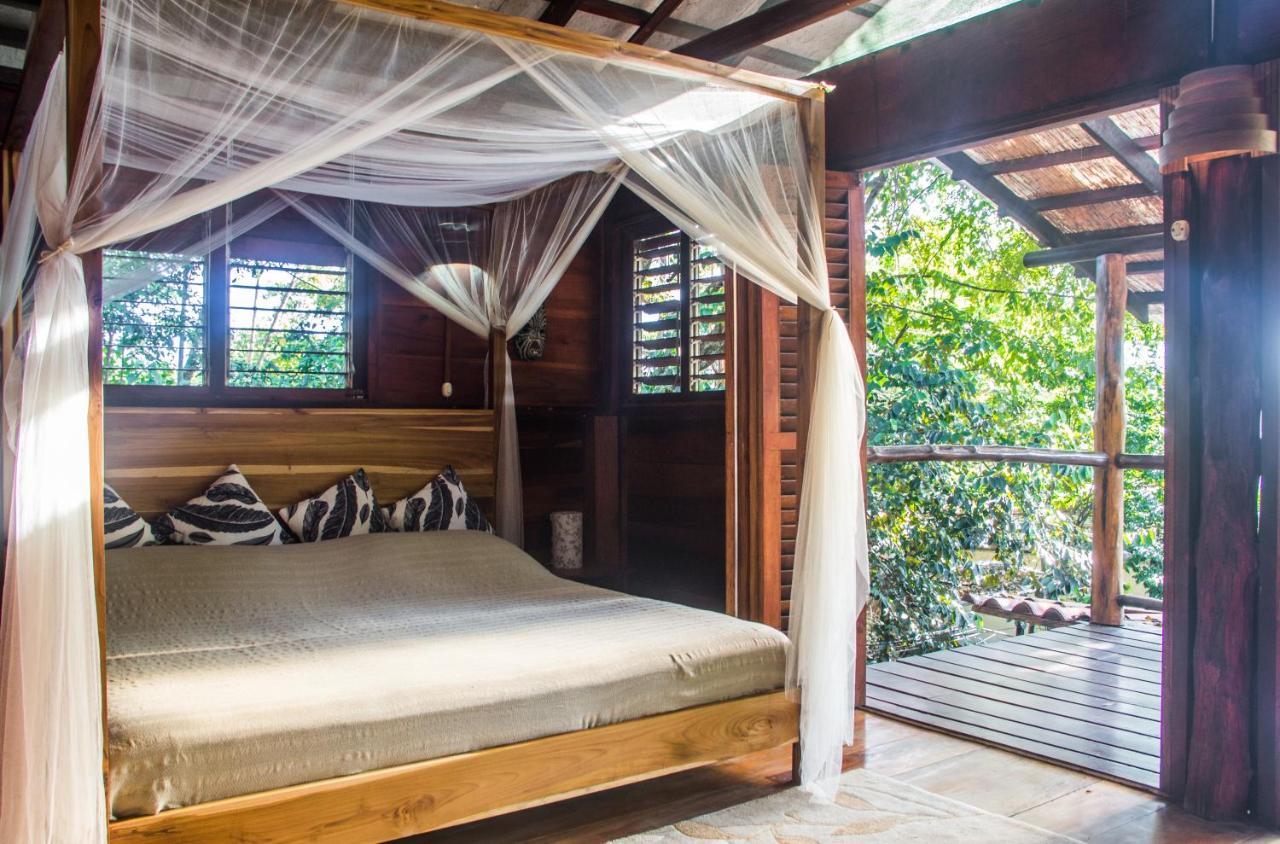 Funky Monkey Lodge Playa Santa Teresa  Экстерьер фото