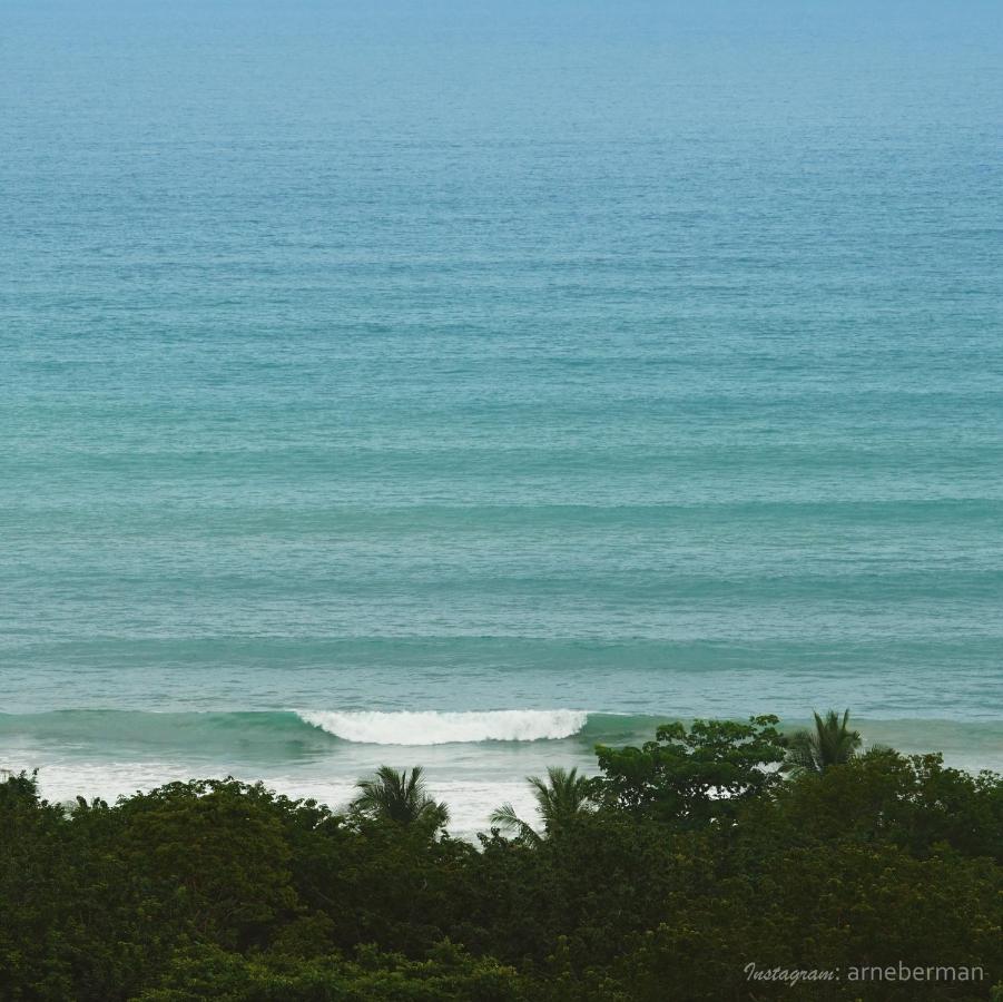 Funky Monkey Lodge Playa Santa Teresa  Экстерьер фото