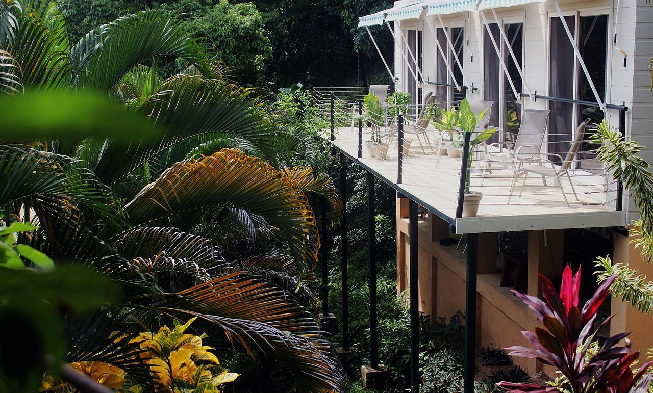 Funky Monkey Lodge Playa Santa Teresa  Экстерьер фото