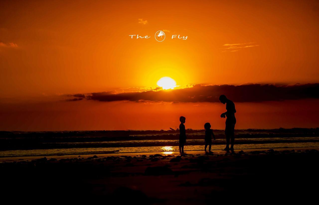Funky Monkey Lodge Playa Santa Teresa  Экстерьер фото