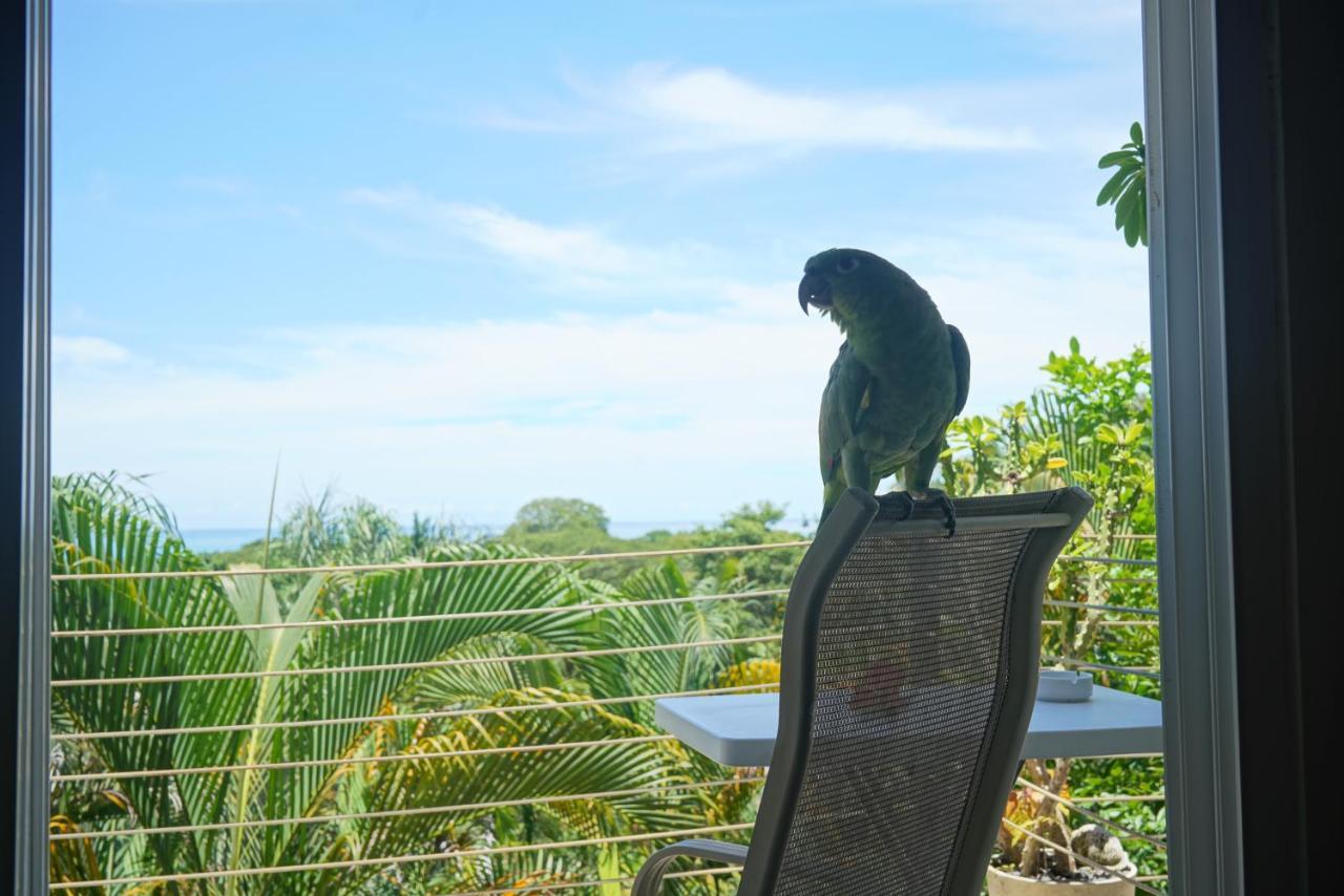 Funky Monkey Lodge Playa Santa Teresa  Экстерьер фото