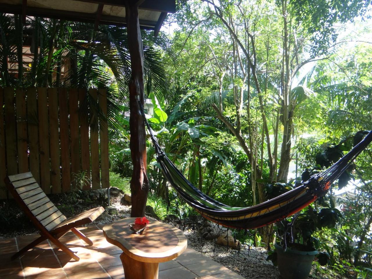 Funky Monkey Lodge Playa Santa Teresa  Экстерьер фото